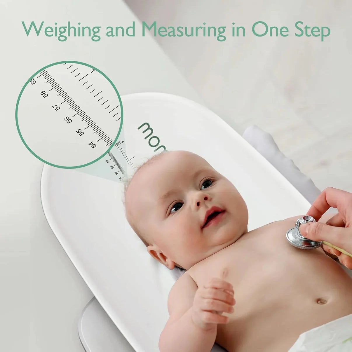 Multi-Functional Baby Scale