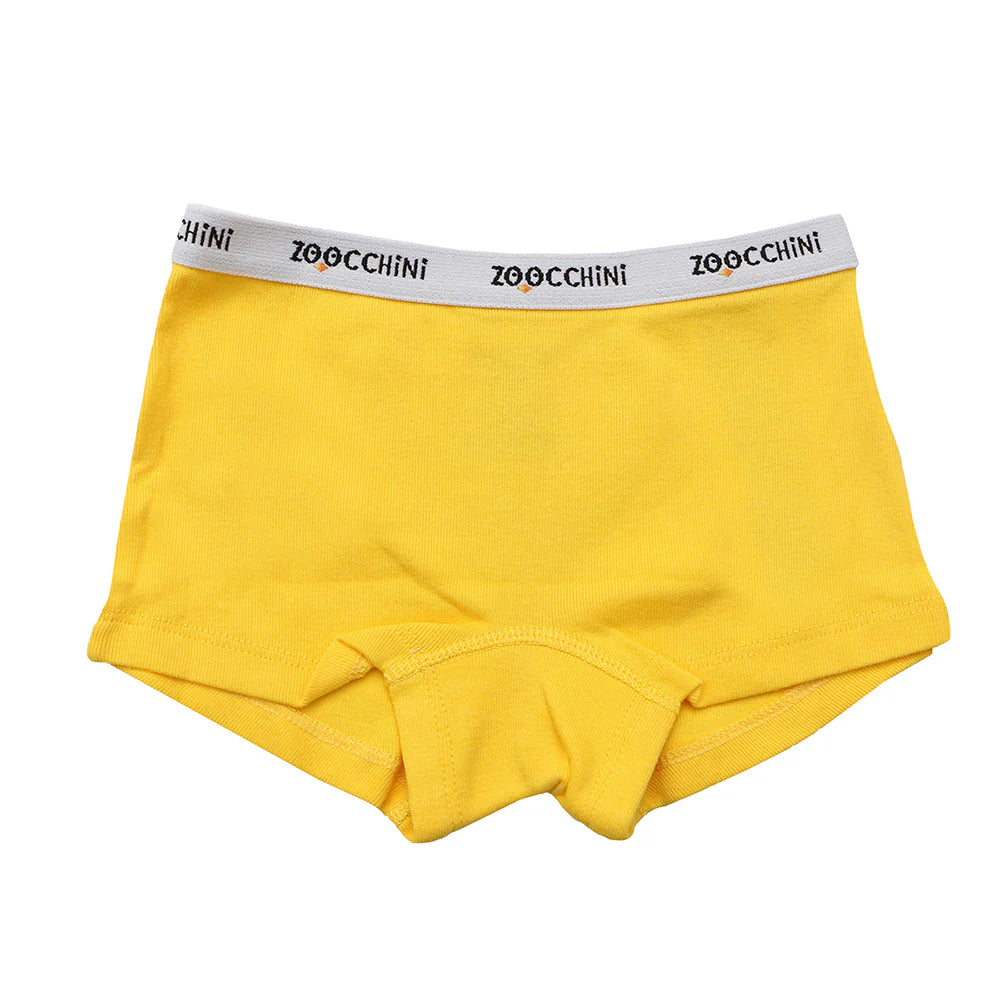 3 Piece Organic Hipster Shorts - Flower Power (2-3years)