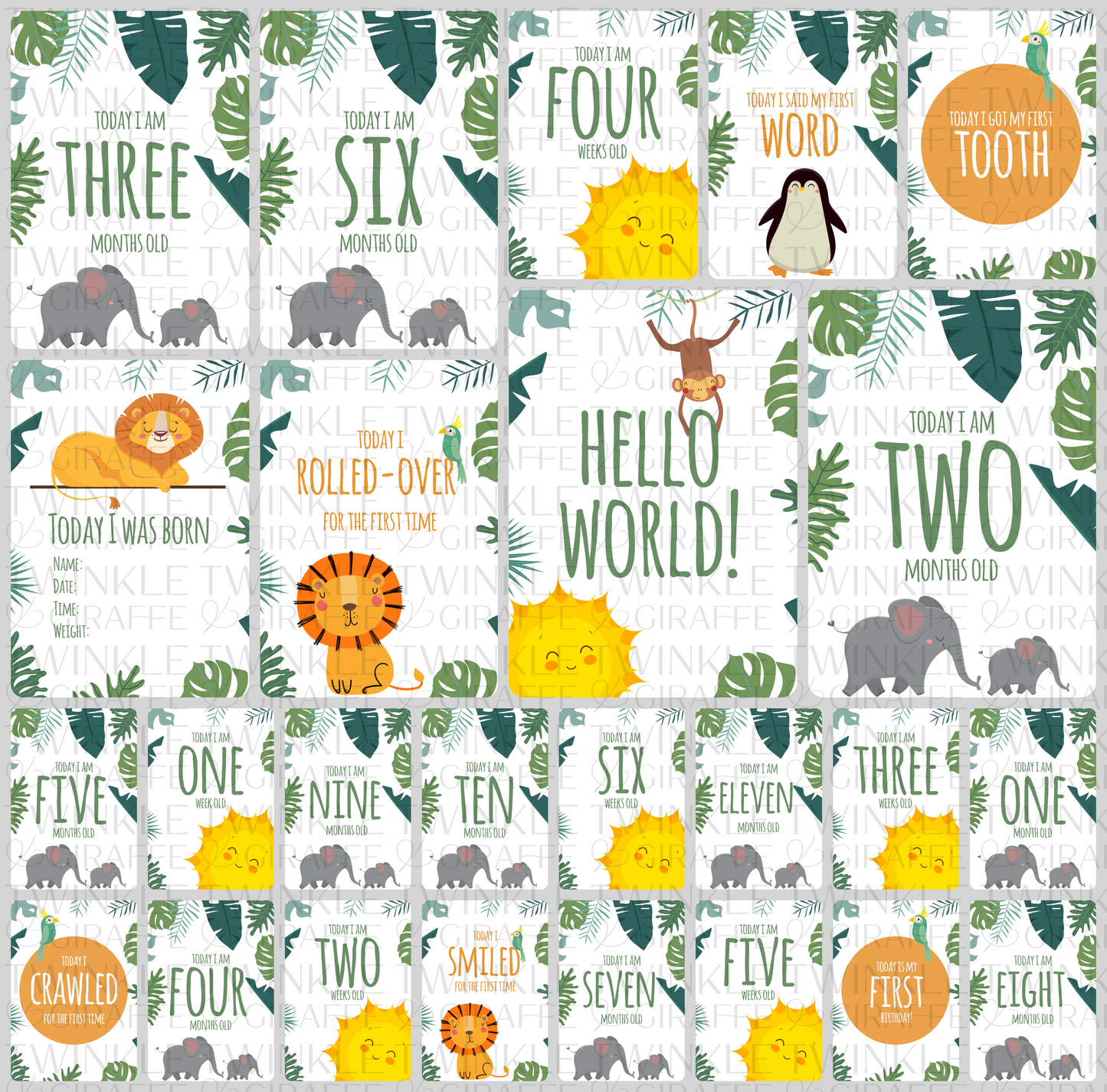 Twinkle Safari Baby Milestone Cards - Set of 25