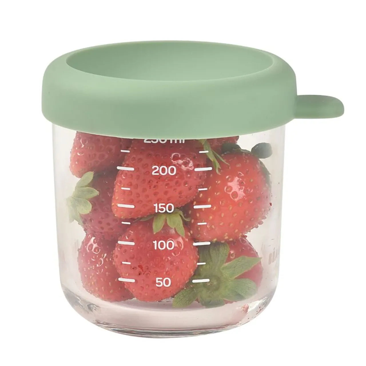 Conservative Glass Food Container - Sage Green - 250 ml