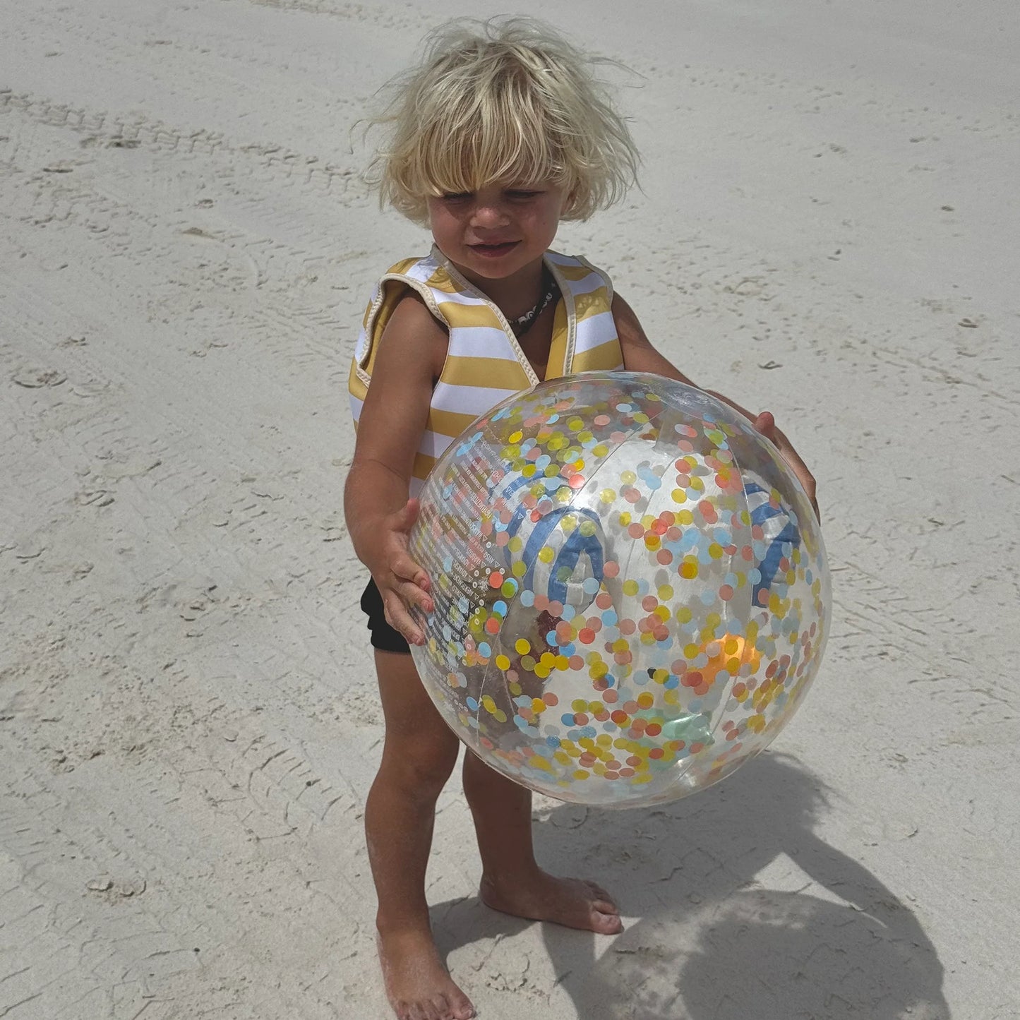 Inflatable Beach Ball - Sammy the Seagull Blue Stripe