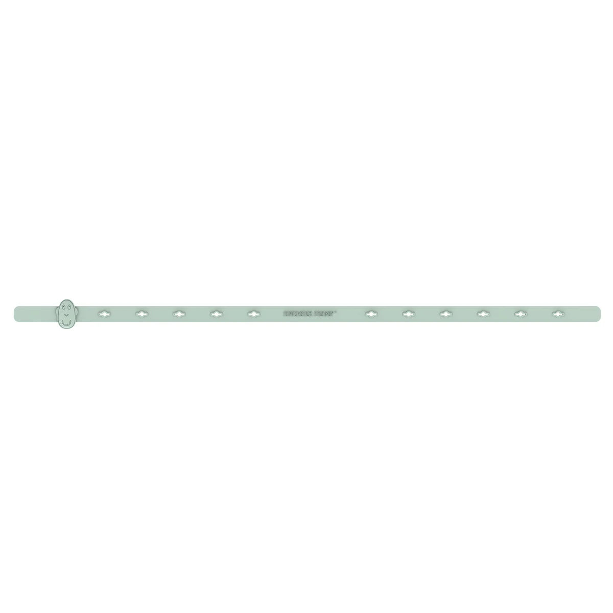 Mint Green Multi-Use Product Holder