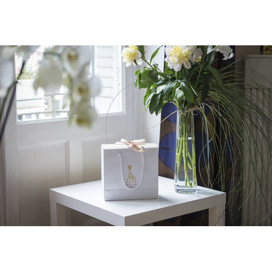 Ready to Give Birth Gift Box - Classical Composition 3