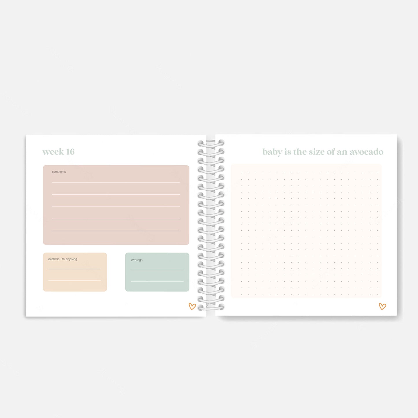 Pregnancy Journal