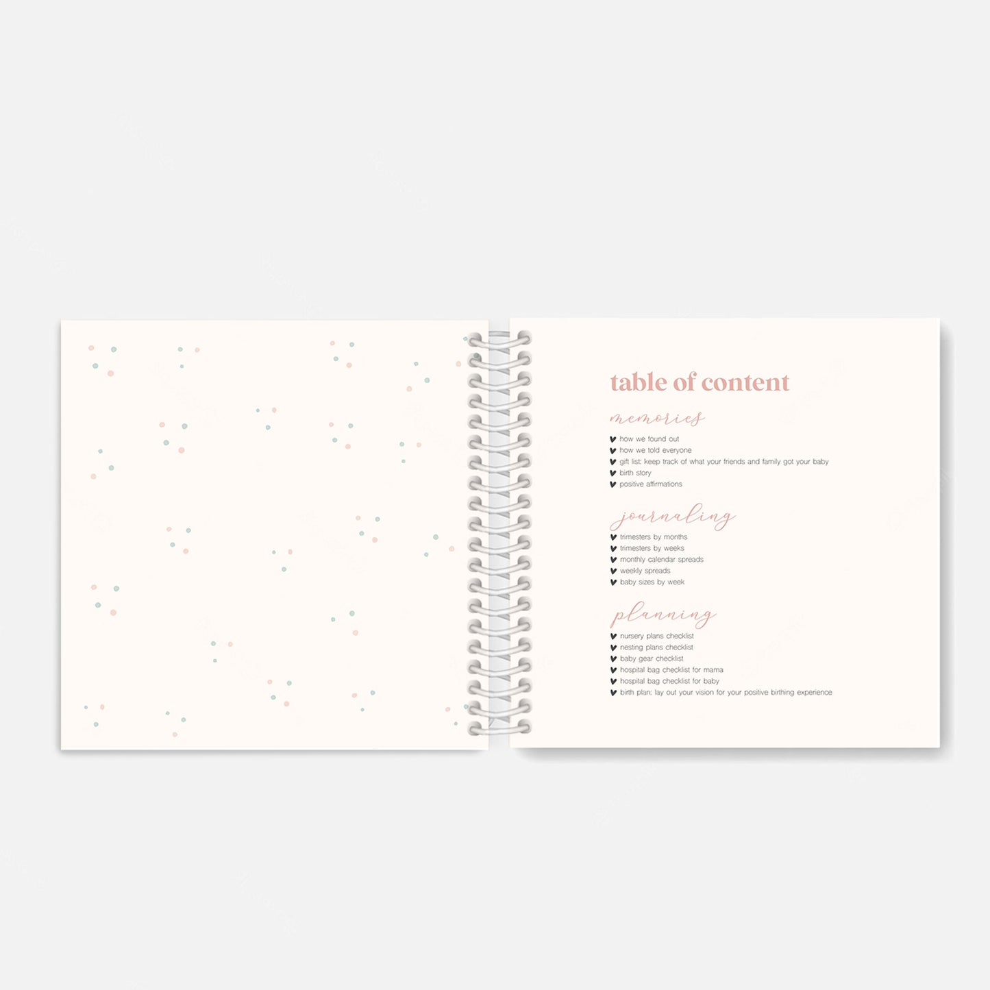 Pregnancy Journal