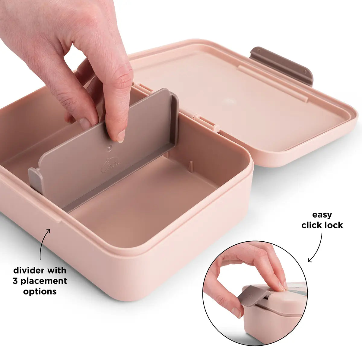 Lunch Box with divider - tiny farm - powder