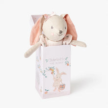 Load image into Gallery viewer, Charlotte The Bunny Linen Toy Boxed
