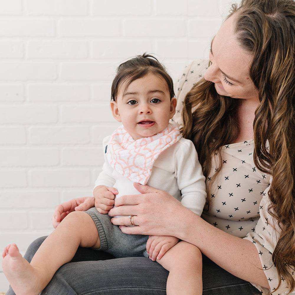 Floret + Trellis Bandana Bib Set