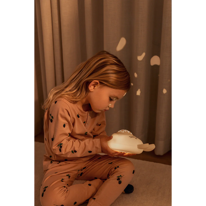 Manuel Sound & Projector Lamp