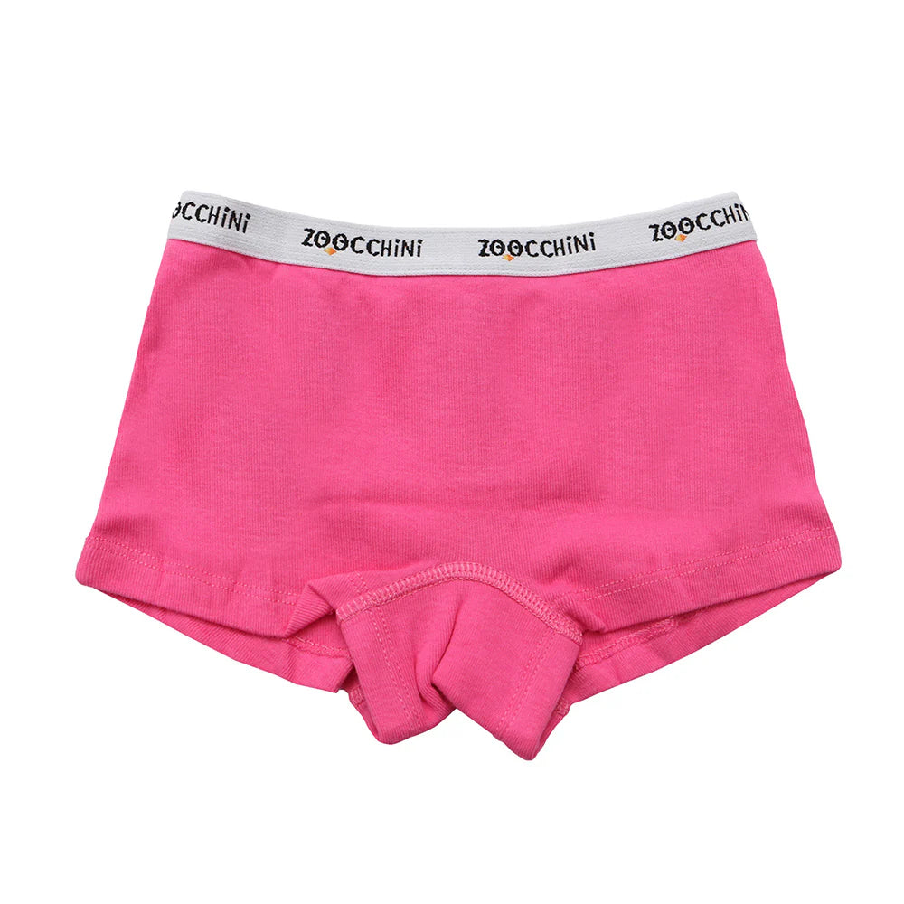 3 Piece Organic Hipster Shorts - Flower Power (2-3years)