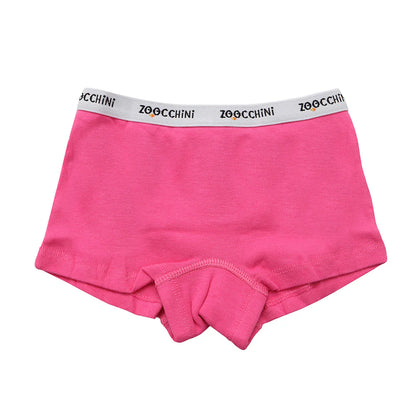 3 Piece Organic Hipster Shorts - Flower Power (2-3years)