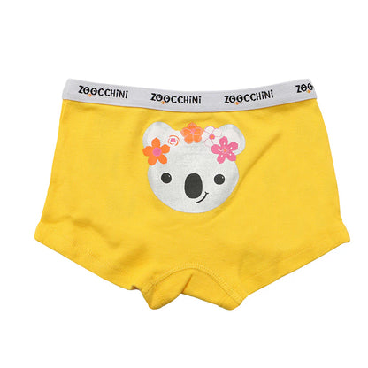 3 Piece Organic Hipster Shorts - Flower Power (2-3years)