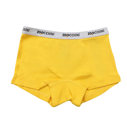 3 Piece Organic Hipster Shorts - Flower Power (2-3years)