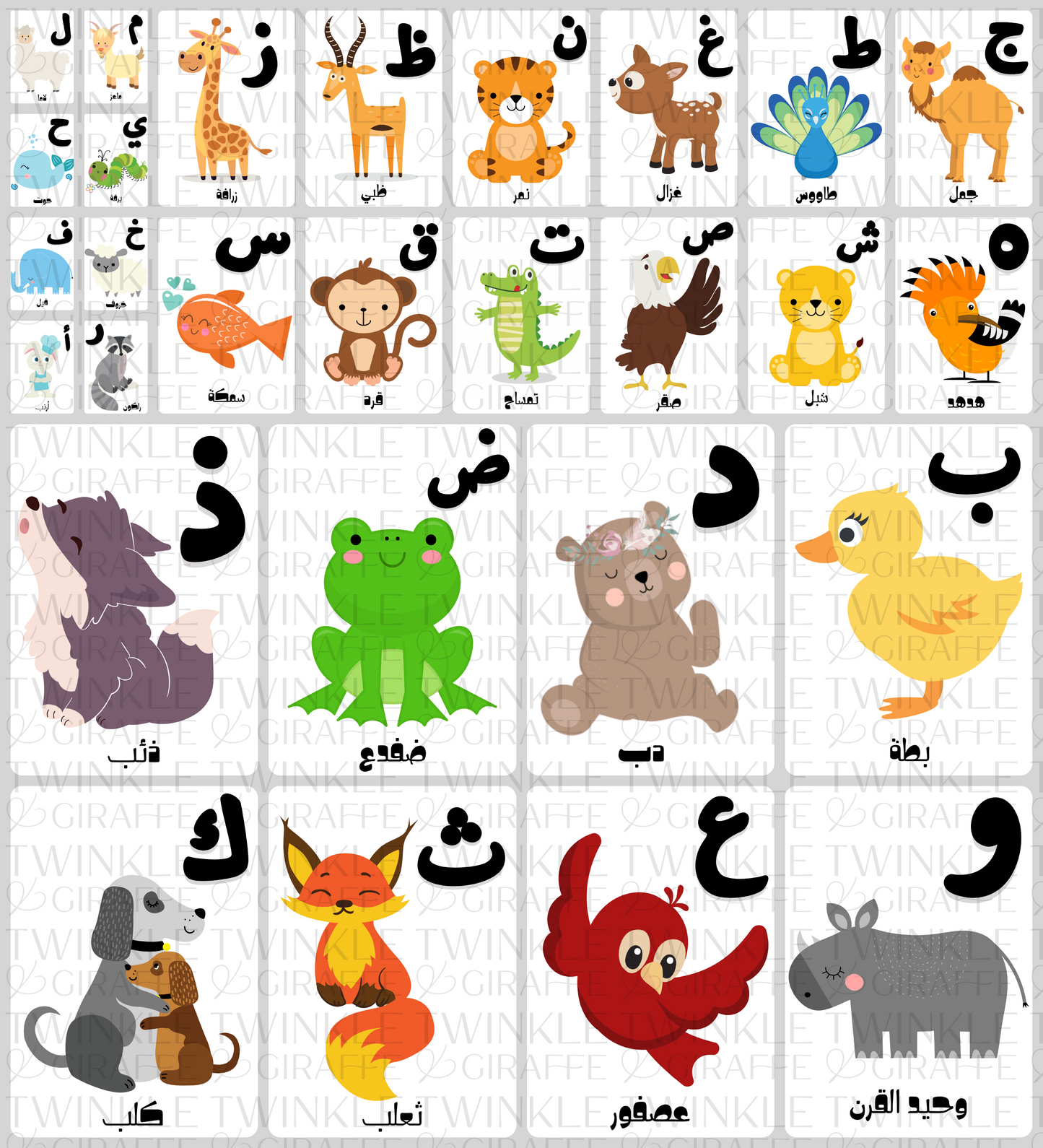 Arabic Alphabet Cards