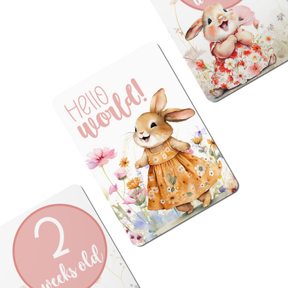 Happy Bunnies Baby Milestone Cards - Set of 30