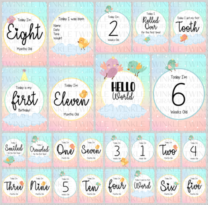 Twinkle Birds Baby Milestone Cards - Set of 25