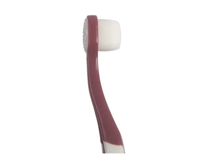 Toddler Tooth Brush Set