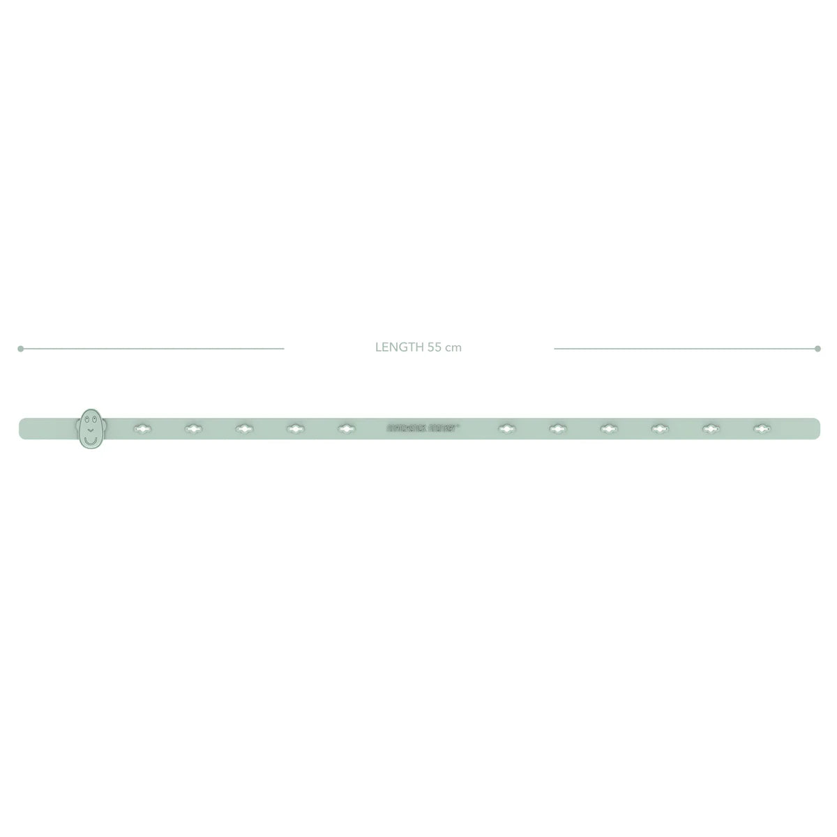 Mint Green Multi-Use Product Holder