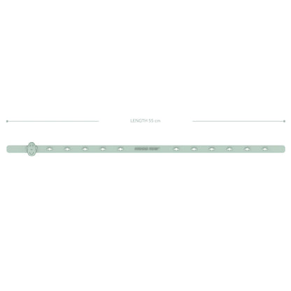 Mint Green Multi-Use Product Holder
