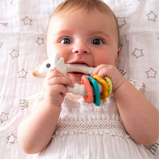 So'Pure Teething Ring Colo'Rings