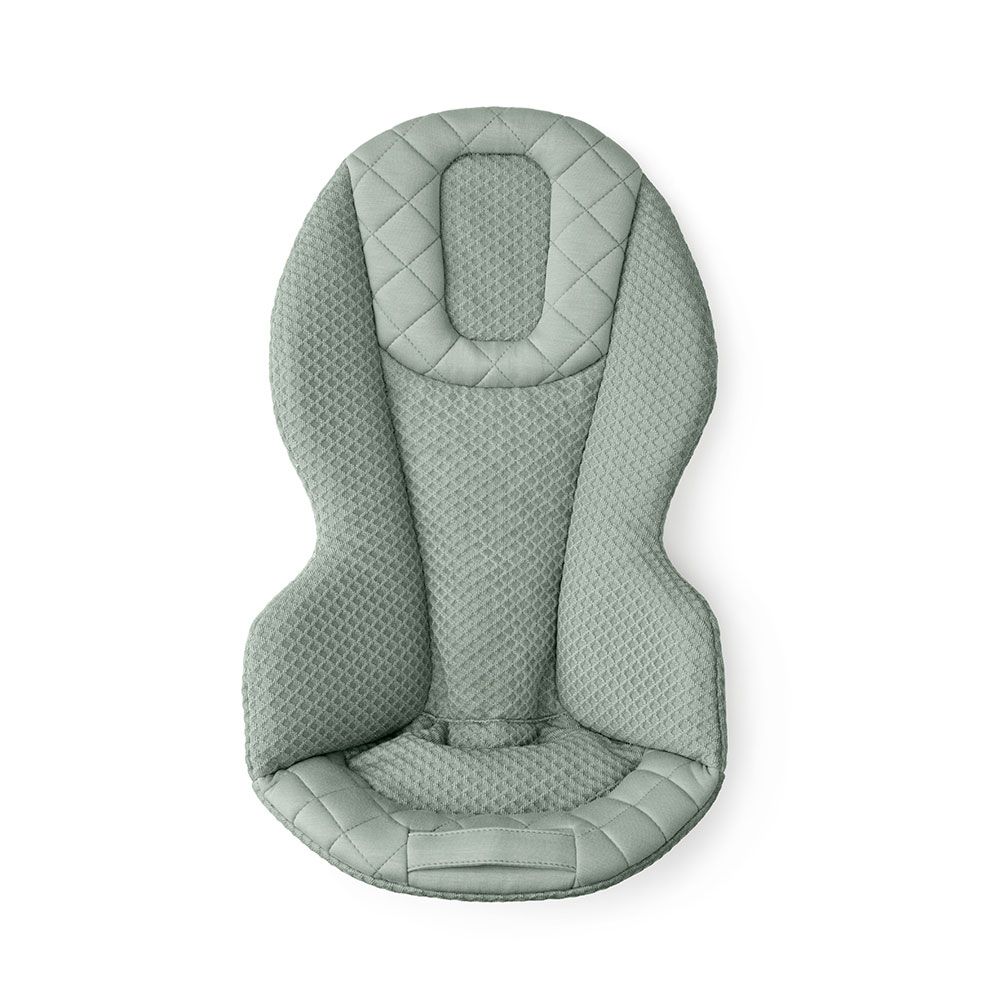 3-IN-1 Evolve Mesh Baby Bouncer - Sage Green