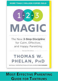 123 Magic 3-step Discipline