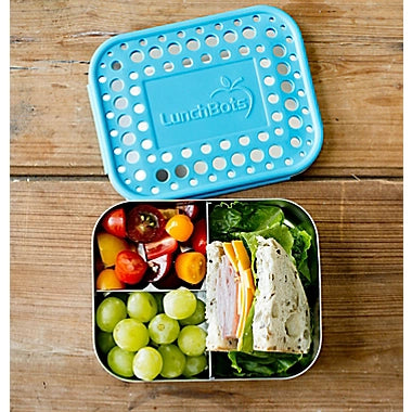 Medium Trio Bento Box - Aqua Dots