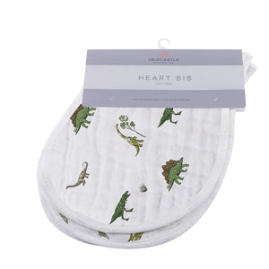 Newborn Dino Gift Box