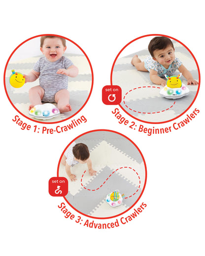 Explore & More Follow - Bee Crawl Toy