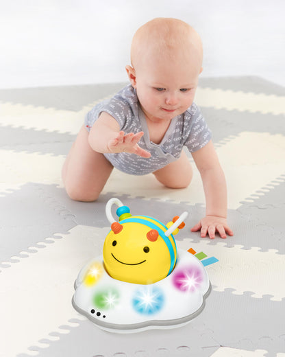 Explore & More Follow - Bee Crawl Toy