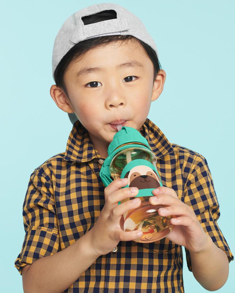 Zoo Straw Bottle pug