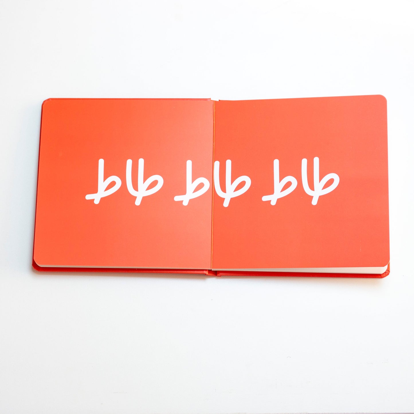 Book - صابر