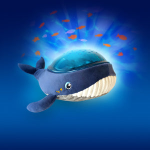 Whale Aqua Dream