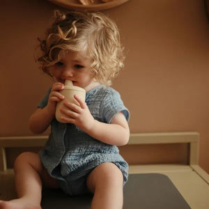 Silicone Sippy Cup - Shifting Sand