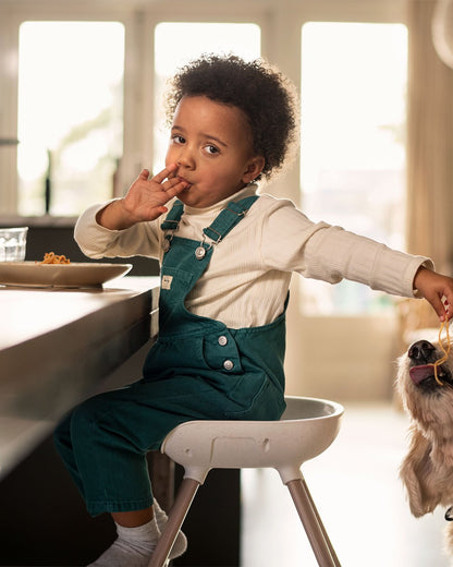 Moa 8-in-1 Highchair