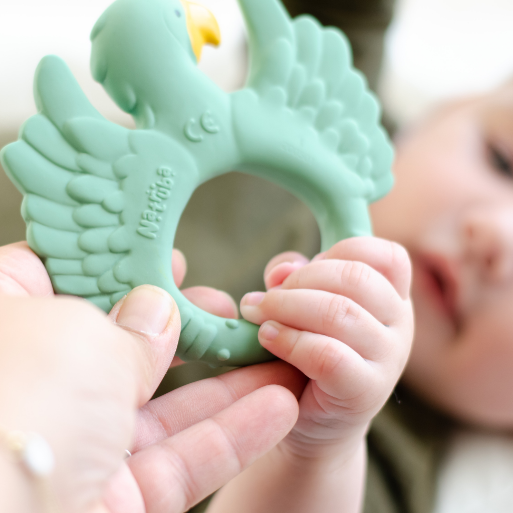 Teether Parrot Light Green