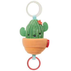 Farmstand Jitter Cactus